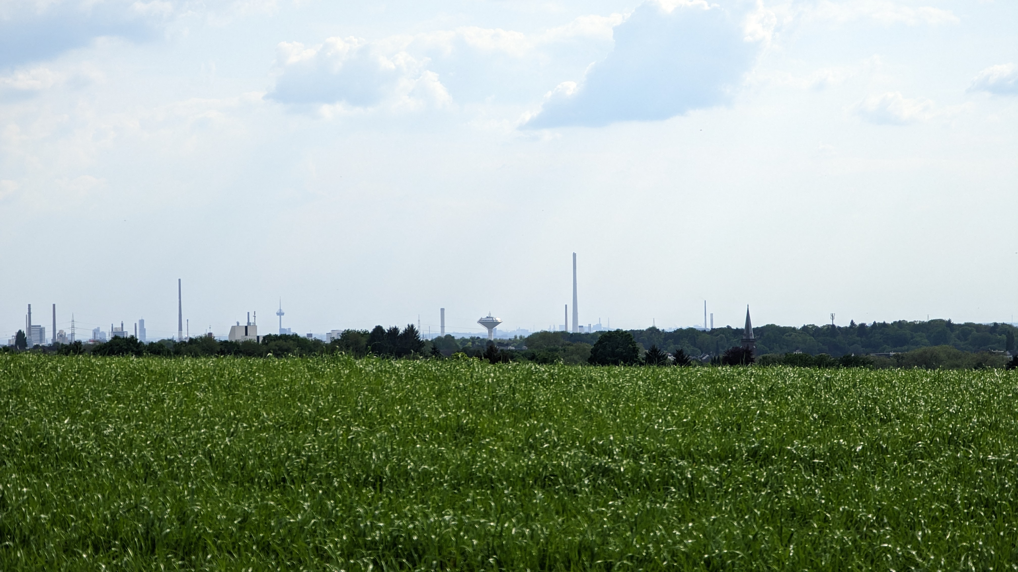 Die Skyline von Leverkusen vom Imbach aus mit Blick auf den Wasserturm. Die Pflanzen auf dem Feld sind noch jung und grün.